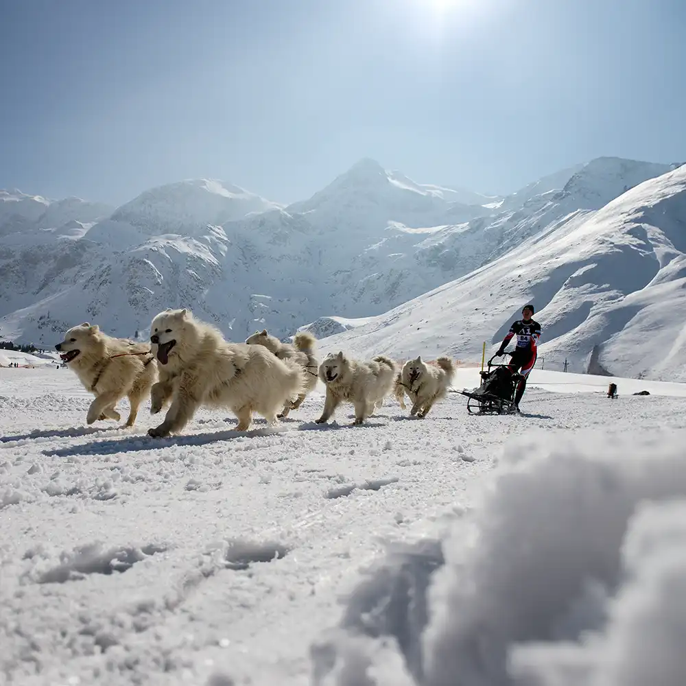 Events und Wintervergnügen
